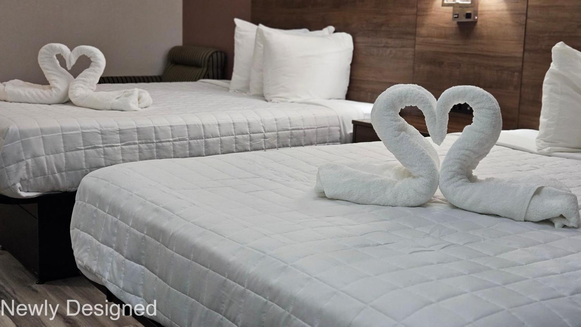 Best Western Hopkinsville Ky - Brand New Rooms Exterior photo